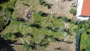 Terreno R�stico - Gouveia (S�o Sim�o), Amarante, Porto - Miniatura: 14/18