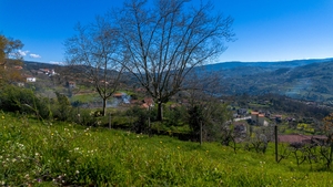 Terreno R�stico - Ancede, Bai�o, Porto - Miniatura: 17/25