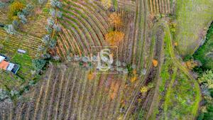 Terreno R�stico - Cambres, Lamego, Viseu - Miniatura: 7/14