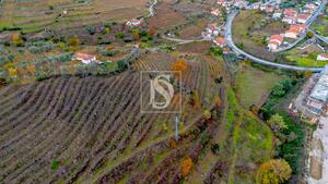 Terreno R�stico - Cambres, Lamego, Viseu - Miniatura: 13/14