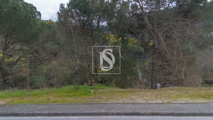 Terreno R�stico - Amarante, Amarante, Porto - Miniatura: 11/16
