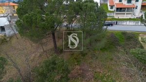 Terreno R�stico - Amarante, Amarante, Porto - Miniatura: 13/16