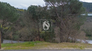 Terreno R�stico - Amarante, Amarante, Porto - Miniatura: 15/16