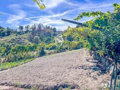 Terreno R�stico - Grilo, Bai�o, Porto - Miniatura: 21/40