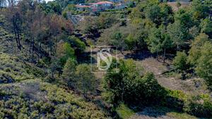 Terreno R�stico - Grilo, Bai�o, Porto - Miniatura: 27/40