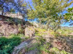 Terreno R�stico - Grilo, Bai�o, Porto - Miniatura: 40/40