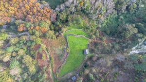 Terreno R�stico - Ansi�es, Amarante, Porto - Miniatura: 7/9