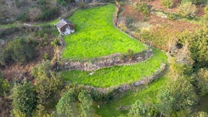 Terreno R�stico - Ansi�es, Amarante, Porto - Miniatura: 8/9