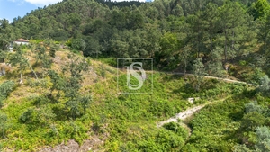 Terreno R�stico - JAZENTE, Amarante, Porto - Miniatura: 1/20
