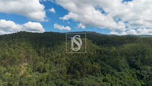 Terreno R�stico - JAZENTE, Amarante, Porto - Miniatura: 4/20