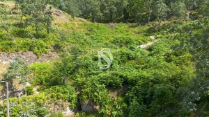 Terreno R�stico - JAZENTE, Amarante, Porto - Miniatura: 8/20
