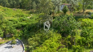 Terreno R�stico - JAZENTE, Amarante, Porto - Miniatura: 14/20