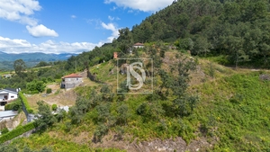 Terreno R�stico - JAZENTE, Amarante, Porto - Miniatura: 16/20