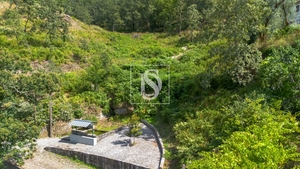 Terreno R�stico - JAZENTE, Amarante, Porto - Miniatura: 18/20