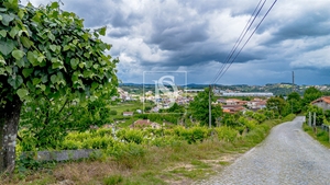 Terreno R�stico - Tel�es, Amarante, Porto - Miniatura: 3/11