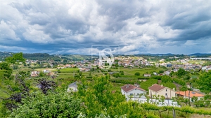 Terreno R�stico - Tel�es, Amarante, Porto - Miniatura: 5/11