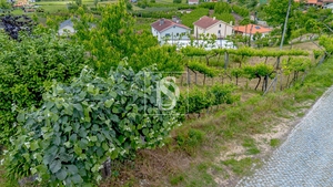 Terreno R�stico - Tel�es, Amarante, Porto - Miniatura: 7/11