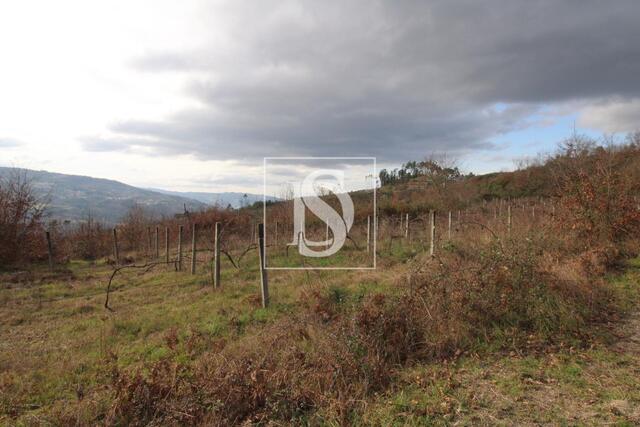 Terreno R�stico - Salvador do Monte, Amarante, Porto - Imagem grande