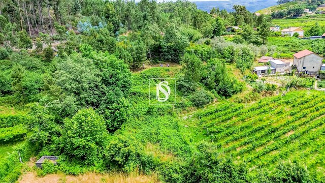 Terreno R�stico - Salvador do Monte, Amarante, Porto - Imagem grande