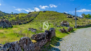 Terreno Rstico T0 - Bustelo, Amarante, Porto