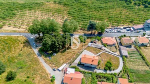 Terreno Rstico T0 - Gesta, Baio, Porto
