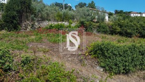 Terreno Rstico T0 - Ancede, Baio, Porto - Miniatura: 22/29