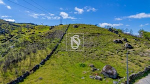 Terreno Rstico T0 - Bustelo, Amarante, Porto - Miniatura: 5/13