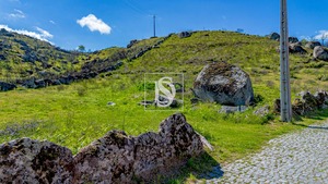 Terreno Rstico T0 - Bustelo, Amarante, Porto - Miniatura: 8/13