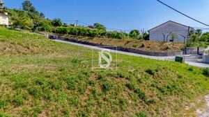Terreno Rstico T0 - Amarante, Amarante, Porto - Miniatura: 24/25