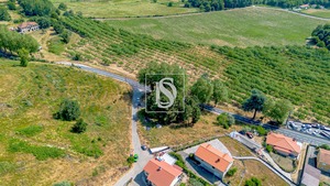 Terreno Rstico T0 - Gesta, Baio, Porto - Miniatura: 24/35