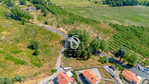 Terreno Rstico T0 - Gesta, Baio, Porto - Miniatura: 26/35