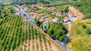 Terreno Rstico T0 - Gesta, Baio, Porto - Miniatura: 27/35