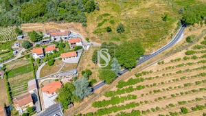 Terreno Rstico T0 - Gesta, Baio, Porto - Miniatura: 28/35