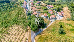 Terreno Rstico T0 - Gesta, Baio, Porto - Miniatura: 29/35