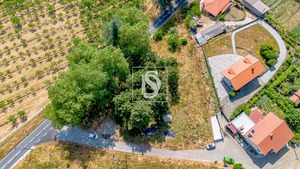 Terreno Rstico T0 - Gesta, Baio, Porto - Miniatura: 32/35