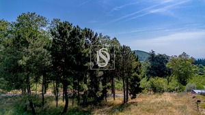 Terreno Rstico T0 - Gesta, Baio, Porto - Miniatura: 33/35
