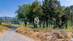 Terreno Rstico T0 - Gesta, Baio, Porto - Miniatura: 34/35