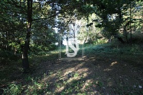 Terreno Rstico T0 - REBORDELO, Amarante, Porto - Miniatura: 1/2
