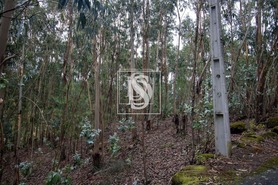 Terreno Rstico T0 - JAZENTE, Amarante, Porto - Miniatura: 1/15