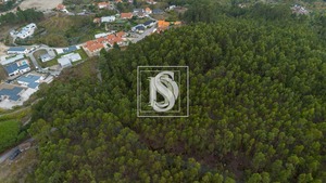 Terreno Rstico T0 - JAZENTE, Amarante, Porto - Miniatura: 5/15