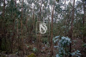 Terreno Rstico T0 - JAZENTE, Amarante, Porto - Miniatura: 10/15