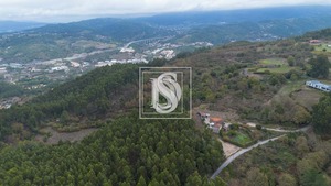 Terreno Rstico T0 - JAZENTE, Amarante, Porto - Miniatura: 15/15