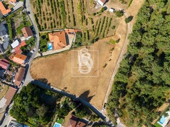 Terreno Rstico T0 - Real, Amarante, Porto - Miniatura: 6/19