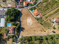 Terreno Rstico T0 - Real, Amarante, Porto - Miniatura: 7/19
