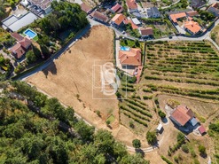 Terreno Rstico T0 - Real, Amarante, Porto - Miniatura: 8/19