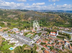 Terreno Rstico T0 - Real, Amarante, Porto - Miniatura: 19/19