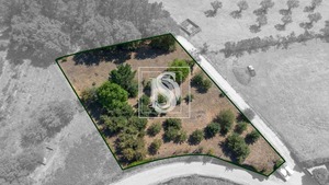 Terreno Rstico T0 - Fregim, Amarante, Porto - Miniatura: 2/7