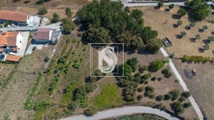Terreno Rstico T0 - Fregim, Amarante, Porto - Miniatura: 4/7