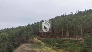Terreno Rstico T0 - Vandoma, Paredes, Porto - Miniatura: 6/24