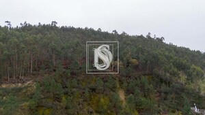 Terreno Rstico T0 - Vandoma, Paredes, Porto - Miniatura: 7/24